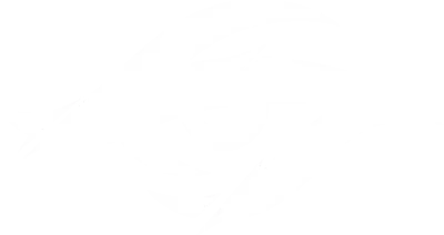 Secret Whales